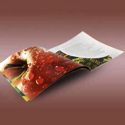 China Brochure Custom A5 A4 A3 Size Accordion Laminated Folding Catalog Booklet Brochure Printing Offset Printing Paper And Cardboard CN; SHG for sale