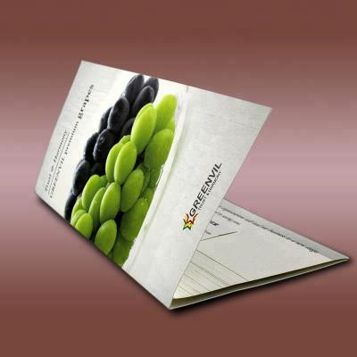 China Custom Laminated Tri Folding Brochure Flyer Catalog Printing Service for sale