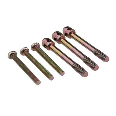 China Pan Customized Carbon Steel Color Galvanized Special Screws and Non-Standard Fasteners Manufacturer for sale