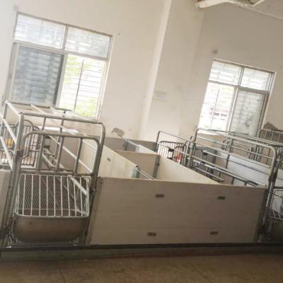 China Farms raised farrowing crate for sale