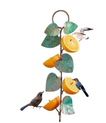 China Non-automatic bird feeders for outdoor hanging best quality needle fruit stainless steel bird fruit feeder direct selling for sale