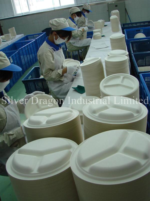 Verified China supplier - SILVER DRAGON INDUSTRIAL LIMITED