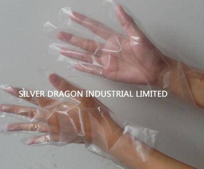 China Clear Disposable gloves, embossed, Size S,M,L for sale