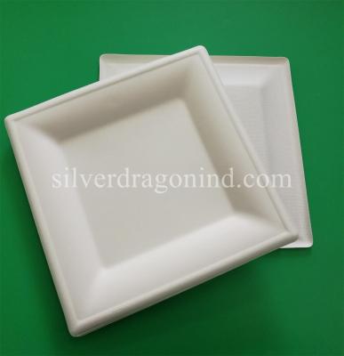 China Biodegradable Disposable Sugarcane Pulp Paper Plate, 8 Inch Square Plate for sale