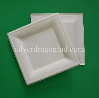 China Biodegradable Disposable Sugarcane Pulp Paper Plate, 6 Inch Square Plate for sale