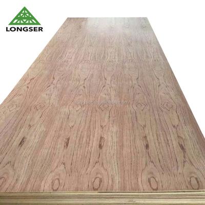 China Fashion Interior Ceiling Design 18mm Basswood Face Veneer Plywood for sale