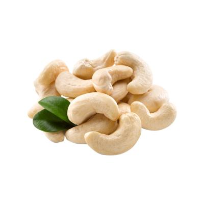 China Cashew Nuts W320 Cashew Nuts Good Quality Dry Bulk Raw Cashew Nuts Price Offered Dried Fruit Nuts for sale