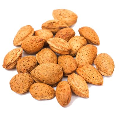 China Dry Wholesale Supply A Large Number High Quality Nut Food Shelled Almonds Nut Food for sale