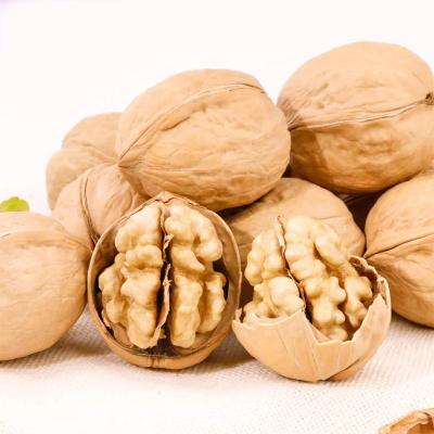 China Wholesale Nutritious Healthy Food Premium Natural Uzbekistan Chinese Walnut Shell for sale