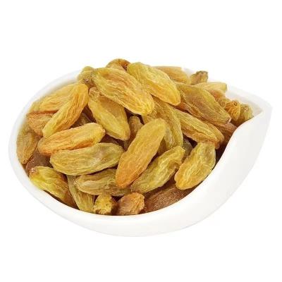 China High Quality High Nutrition Factory Price Nutritious Snacks Dried Raisin for sale