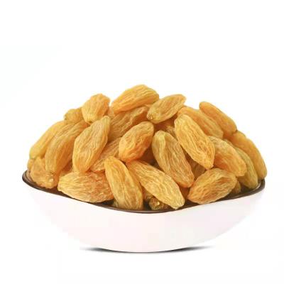 China Wholesale Pure Natural Seedless Sweet Golden Raisins Sweet Bulk for sale