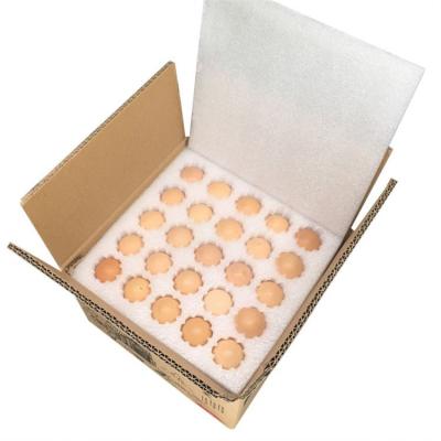 China Earthquake Prevention And Pressure Resistance Stock 50 Pcs Biodegradable Plastic Chicken Egg Tray Suitable for sale