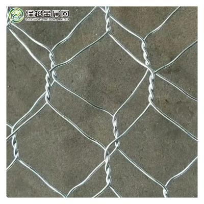 China Sustainable Hot Dipped Galvanized Hexagonal Mesh Hexagonal Gabion Mesh Hexagon Stripe Sandwich Mesh for sale