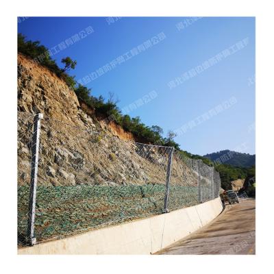 China High Strength Landslide Prevention Slope Protection Netting Active Protection Netting for sale