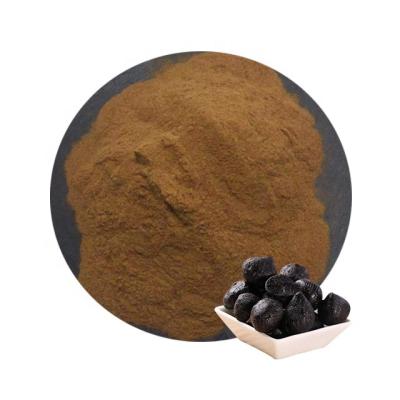 China Best Price Dry Natural High Quality China Black Garlic Extract Powder Bulk for sale