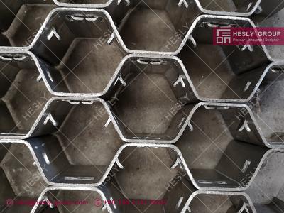 China 310S Hexsteel Grid | 60mm depth X 14gauge | 914X1050mm | Hexsteel with lances for sale