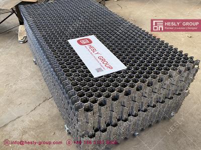 China L type Hesly Hexmesh for Refractory Lining | AISI304H | 3/4