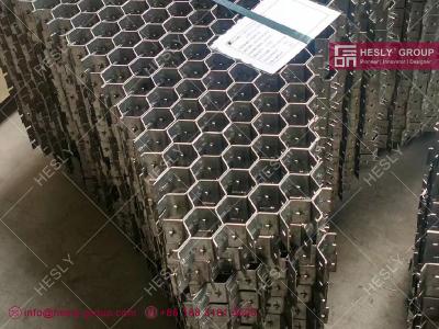 China AISI304 Hexmesh refractory lining | 36