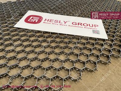 China AISI316 25X2.0X50mm Stainless Steel Hexmetal | China Hexmetal Supplier for sale