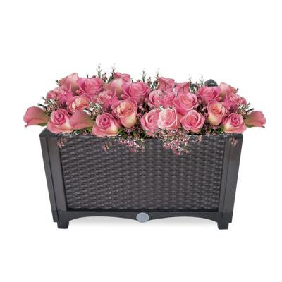 China Home and Garden CLASSIC Plastic Raised Grow Bed For Deep Root Garden Flower Planter for sale