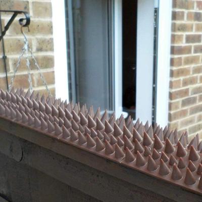 China Disposable Anti Pigeon Spike Pet Metal Wall Sculpture Nails Anti Wall Climb Spikes for sale