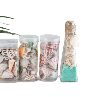 China China Shell in Glass Bottle Natural Beach Shell Scene Decoration for sale