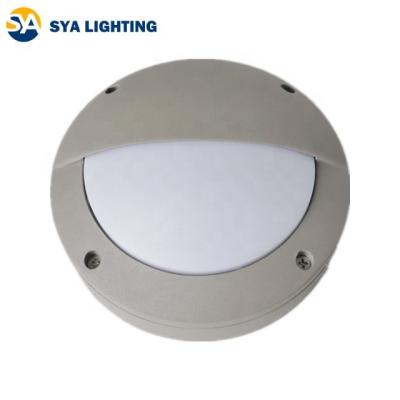 China Landscape Manufacture Wall Lamp IP65 5W Outdoor Lighting Window Passage Corridor Waterproof Ceiling Light for sale