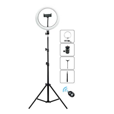 China Table Top / Desk Ring Lamp Set Amazon 12 inch tiktok youtube video circle ring light with tripod stand for sale