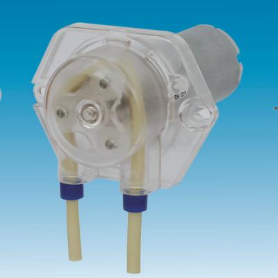 China Micro Drive Peristaltic Gear Motor Pump Convenient Injection BEION Controllable Peristaltic Pump For Continuous Infusion for sale