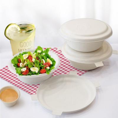 China Biodegradable Disposable Disposable Soup Bowl Eco - Friendly Disposable Bowl For Hot Soup for sale