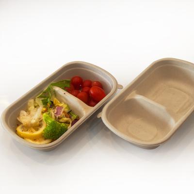 China Party Minimalist Natural Green Takeout Tableware Composable Disposable Tableware Bento Boxes for sale