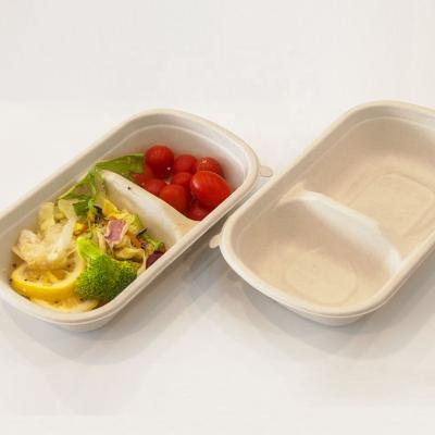 China Biodegradable To Go Take Out Food Containers Packaging 750ml Disposable Microwavable Food Container With Lid for sale