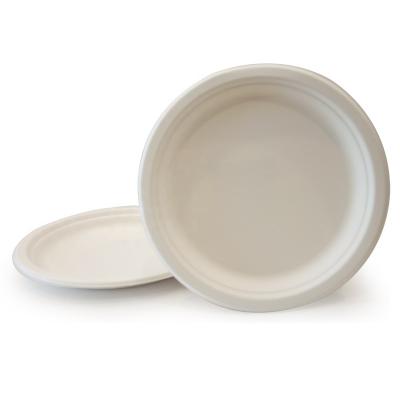 China 9 Inch Biodegradable Wholesale Disposable Disposable Dishes for sale