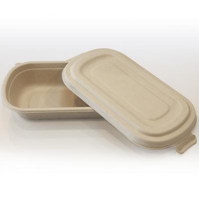 China Bento Box Disposable Bento Box compostable minimalist Bento Box For Kids eco-friendly for sale