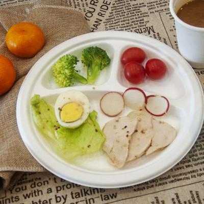 China Custom Made Party Biodegradable Biodegradable Paper Plate Disposable 3 Compartment Disposable Dinner Dish for sale