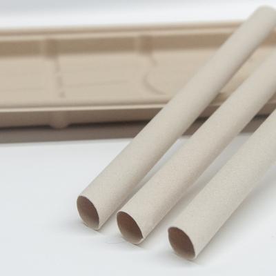 China Coffee Water Milk Drink Customized Size Straws Biodegradable Drinking Colorful Drinking Juice Tea Beverage Milk Paper Straw Disposable Paper Decoration Coffee Straw for sale