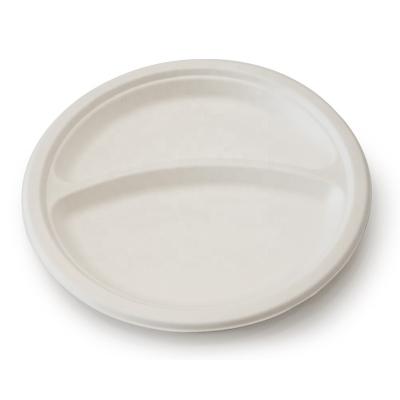 China Biodegradable Party Appetizer Plates Disposable Frozen Food Dish Oven Disposable Plate Maker for sale