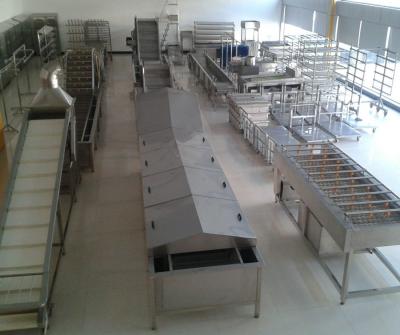 China Stainless Steel Palm Dates Washing Industrial Food Drying Machine for sale