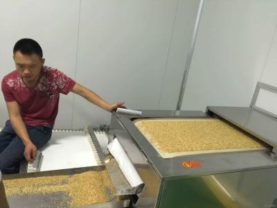 Cina Asciugatrice dell'alimento industriale di microonda della soia dell'arachide dei grani in vendita