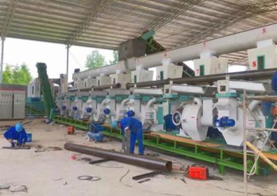 China rice husk Complete 1T/Hr 10T/Hr Biomass Pellet Production Line for sale