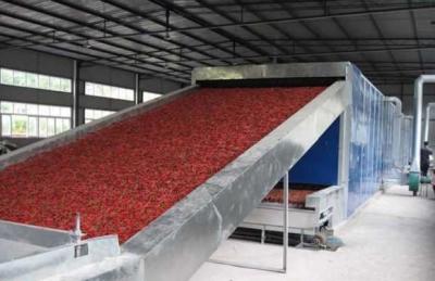 China Red Chilli Pepper 10000kg/H Industrial Food Drying Machine for sale