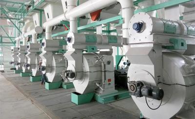 China hölzerne Pelletieranlage 500kg/H 1t/H Ring Die Pellet Machine Sawdust zu verkaufen