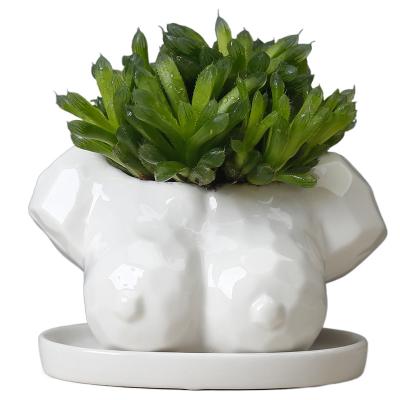 China White Creative Abstract Ceramic Amazon Anti-Corrosion Cartoon Supply Body Art Ceramic Flower Pot for sale