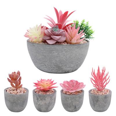 China Wholesale Nordic Desktop Ornaments Simulation Board Farmhouse Style Potted Succulent Plants for sale