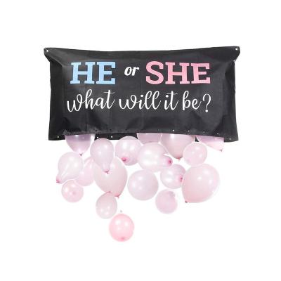 China Gender Reveal Party Baby Shower Supplies Decoration Hot Selling Pink Smoke Powder Blue Gender Reveal Balloon Bag for sale