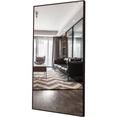 China Minimalist Hall View Floor Standing Integral Dressing Mirror for sale