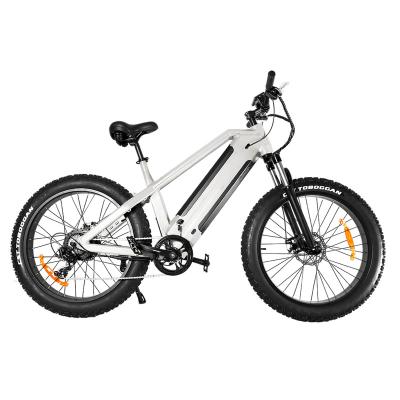 China China Electric Mountain Bike 500W 750W 1000W Electric Bicycle 48V 30Ah Wholesale Lithium Battery Electric Cheap Tire for sale