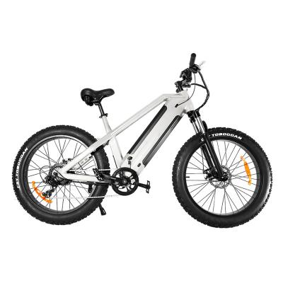 China Double Lithium Battery 750w 1000w Fat Bike Electric Mountain Electric Bicycle 48V 15Ah Moutain Adult Ebike for sale