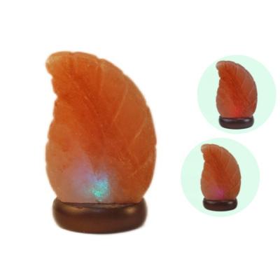 China Universal Wholesale Rock Crystal Salt Lamp USB Portable LED Himalayan Pink Leaf Night Light 7colors 7colors for sale