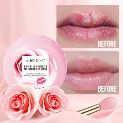 China Korean Wholesale Private Label Moisturizer Pink Moisturizing Natural Organic Collagen Lip Care Lip Gloss Sleep Sheet Mask Gel Rub for sale